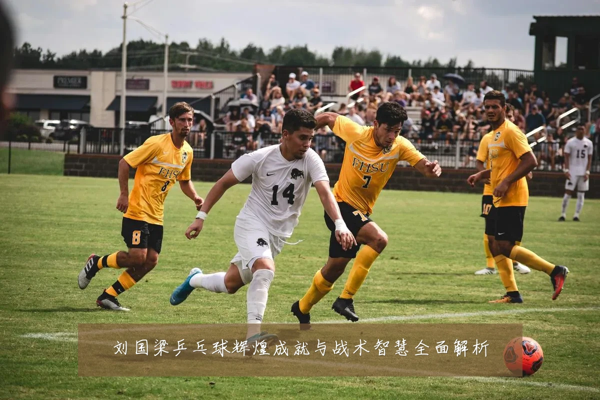 刘国梁乒乓球辉煌成就与战术智慧全面解析